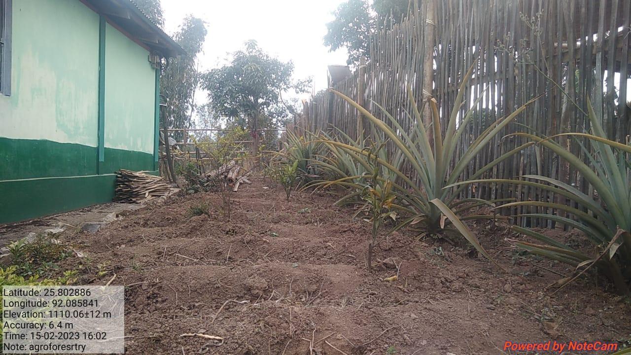 C:\Users\Lavinia Pde\Downloads\WhatsApp Image 2023-03-30 at 10.35.40 (2).jpeg